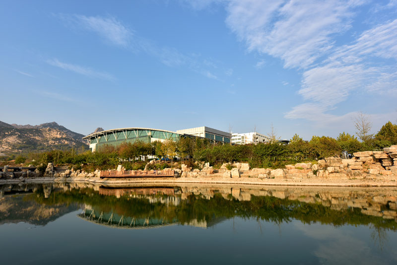 青岛黄海学院校园风光-校园秋色