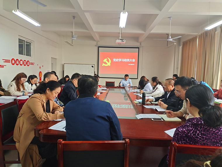 我校护理与健康学院党总支组织召开党史学习教育动员大会