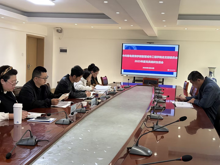 智慧城市工程学院党总支召开2025年度组织生活会