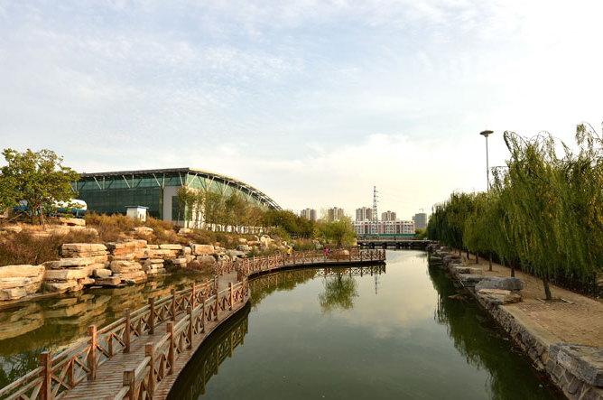 2019年山东省自然科学基金学科组评审建议项目名单培养基金）结果公布 我校教师参与的项目获批立项