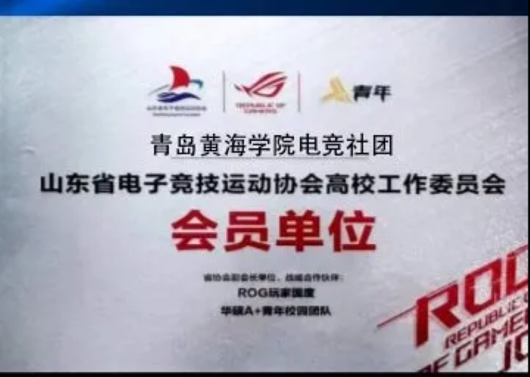 山东省电竞运动协会与大数据学院召开电竞专业报告会