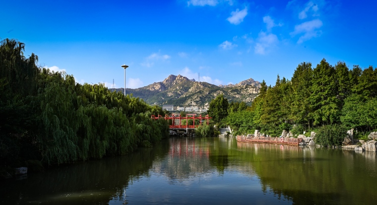 青岛黄海学院2024—2025学年信息公开报告